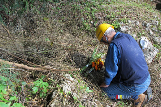 遺骨調査・収集遺骨収集の様子36