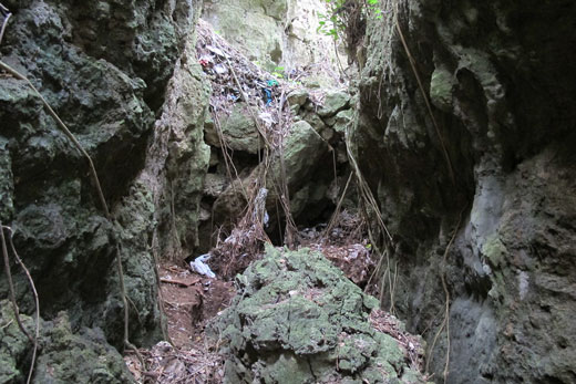 遺骨調査・収集の様子36