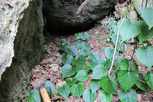 遺骨調査・収集の様子18