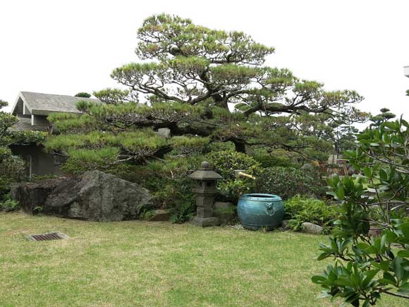 遺骨収集の様子1