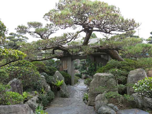 遺骨収集の様子16