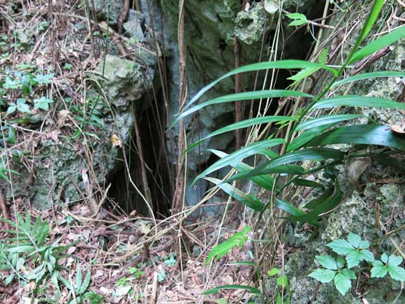 遺骨収集の様子28