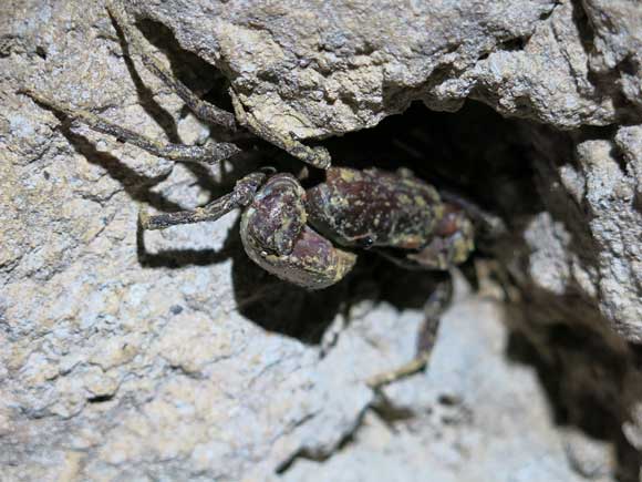 遺骨収集の様子18