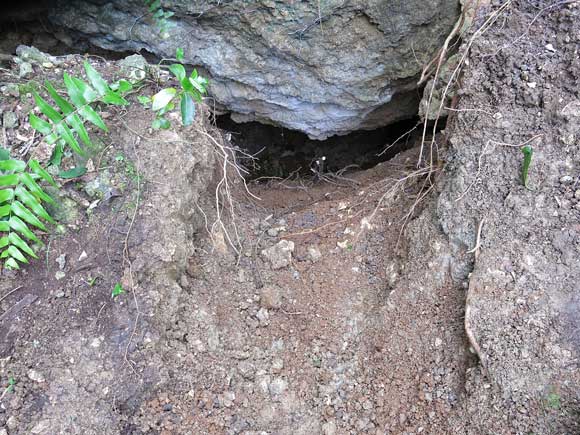 遺骨収集の様子39