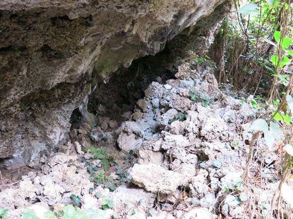 遺骨収集の様子46