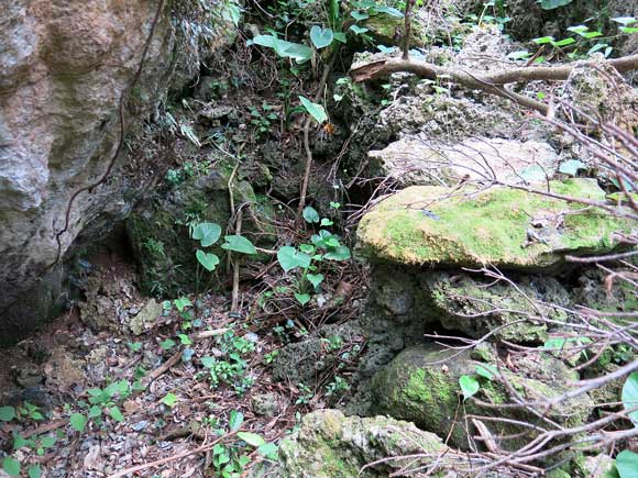 遺骨収集の様子62