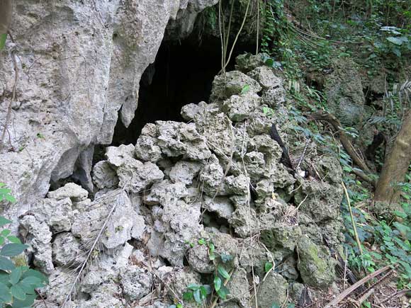 遺骨収集の様子73