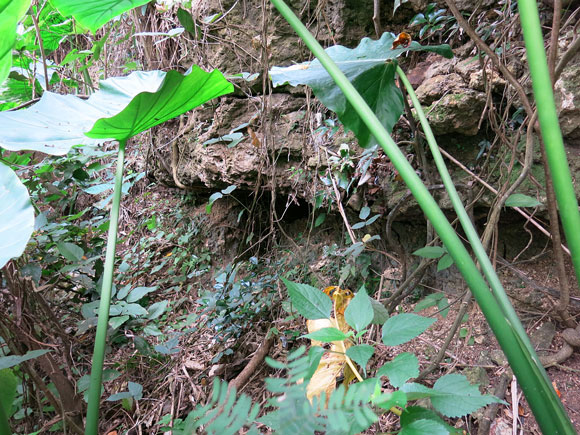 遺骨収集の様子22