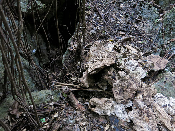 遺骨収集の様子60