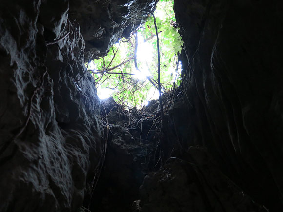 遺骨収集の様子14