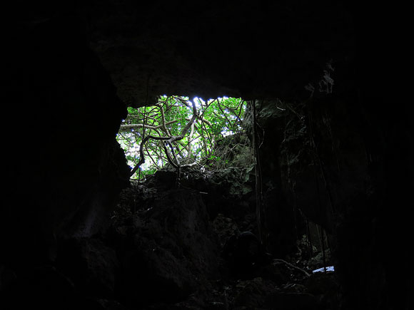 遺骨収集の様子25