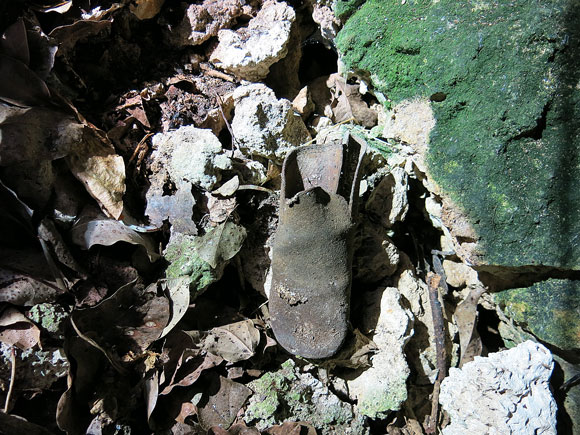 遺骨収集の様子49