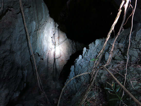 遺骨収集の様子53