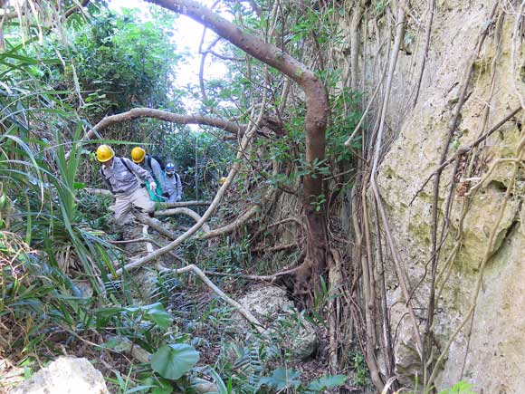 遺骨収集の様子26