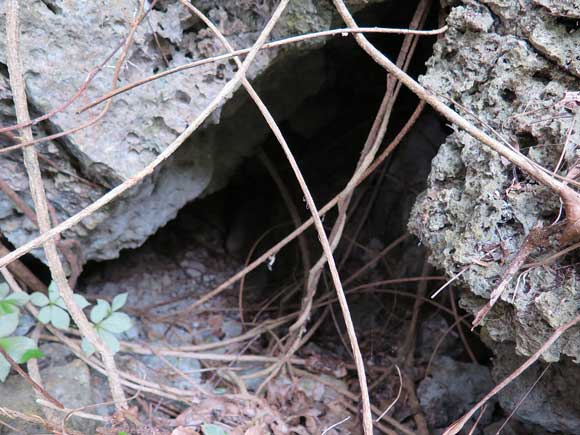 遺骨収集の様子17