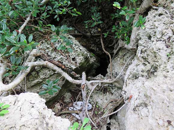 遺骨収集の様子49