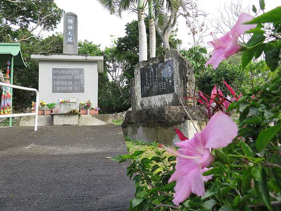 遺骨収集の様子13