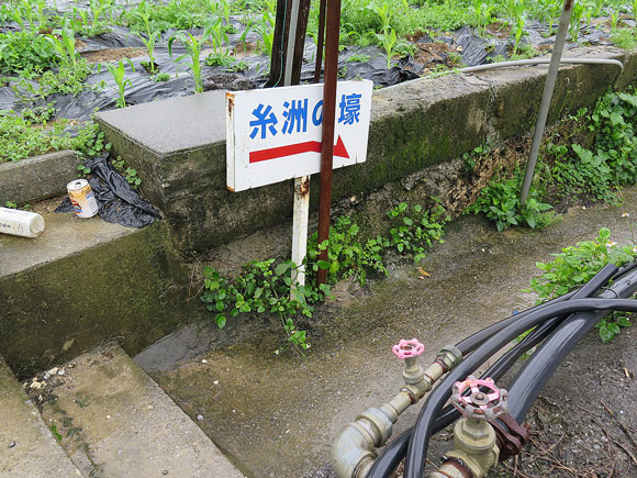 遺骨収集の様子10