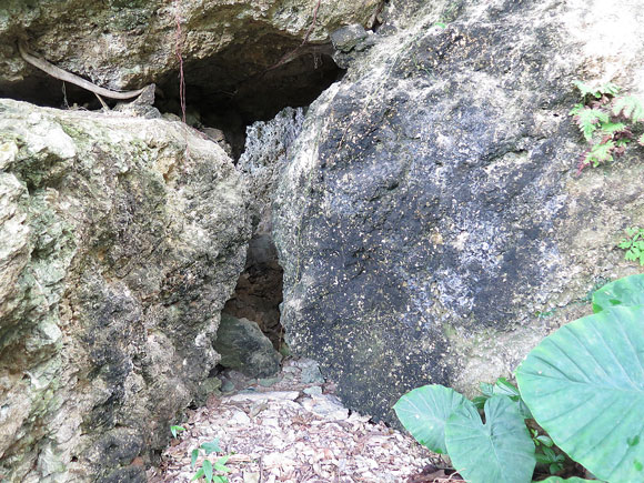 遺骨収集の様子71