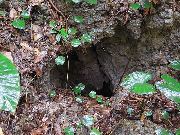 遺骨収集の様子17