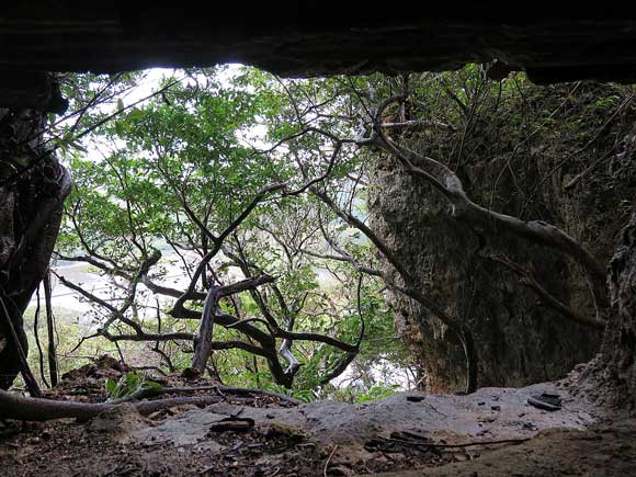 遺骨収集の様子44