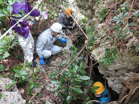 遺骨収集の様子19