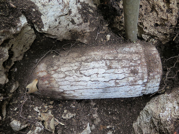 遺骨収集の様子56