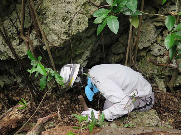 遺骨収集の様子74