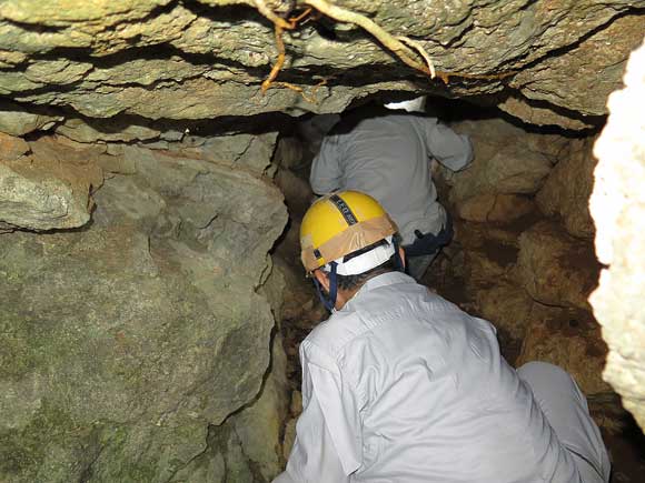 遺骨収集の様子17