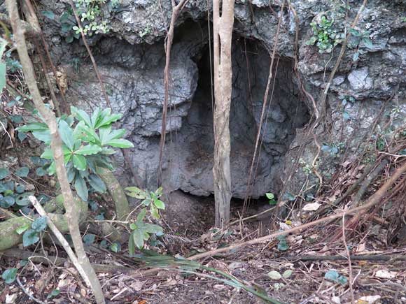 遺骨収集の様子16