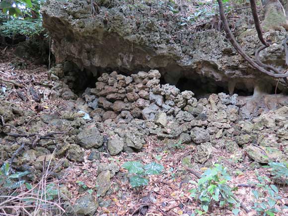 遺骨収集の様子29