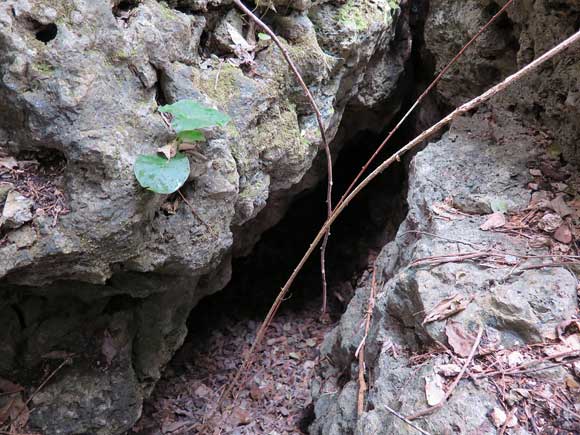 遺骨収集の様子32