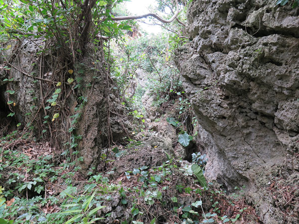 遺骨収集の様子25