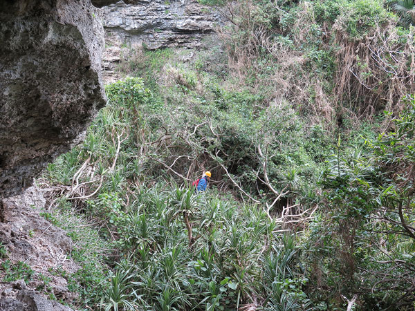 遺骨収集の様子53