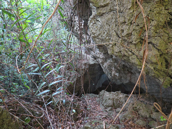 遺骨収集の様子28