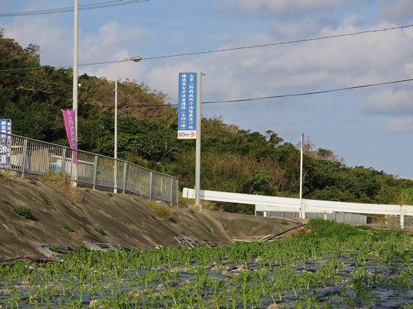 遺骨収集の様子9