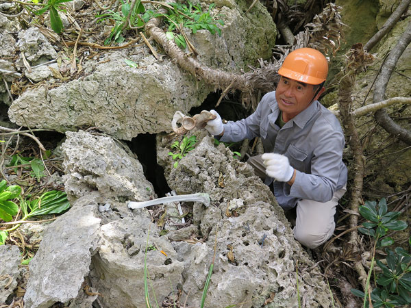 遺骨収集の様子37