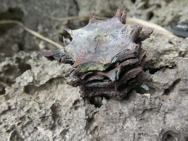 遺骨収集の様子60