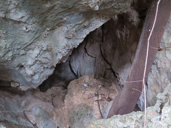 遺骨収集の様子28