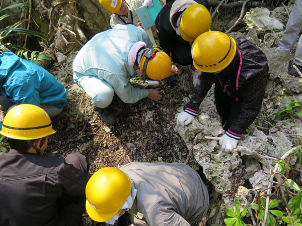 遺骨収集の様子37