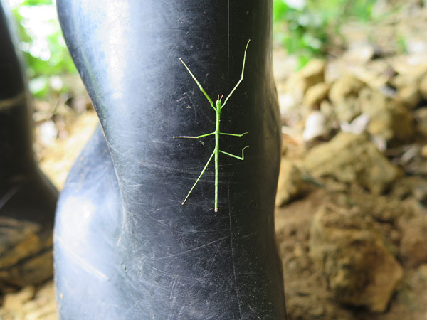 遺骨収集の様子51