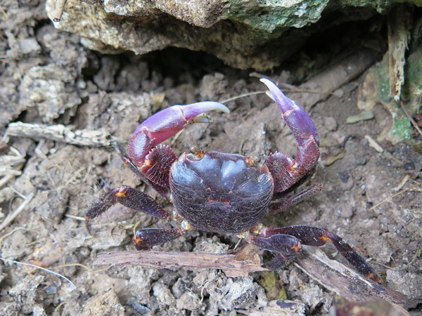 遺骨収集の様子28