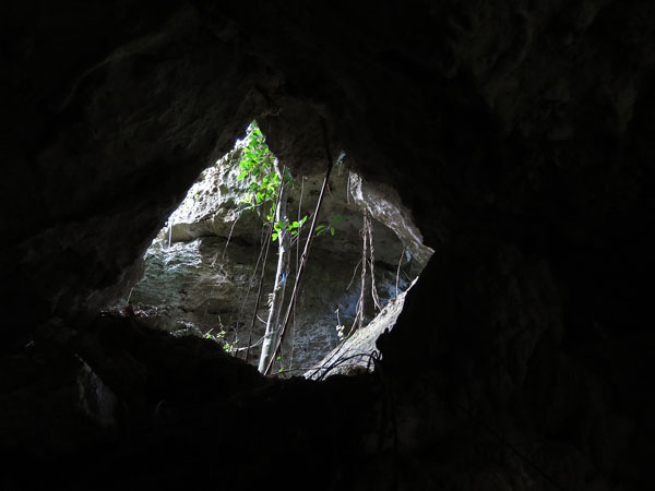 遺骨収集の様子44