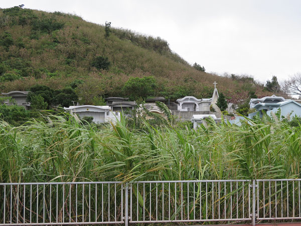 2016年1月29日/遺骨収集の様子 NO.1