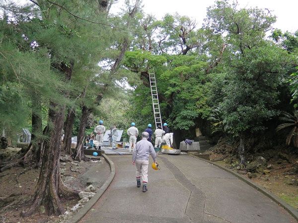 2016年1月30日/遺骨収集の様子 NO.15