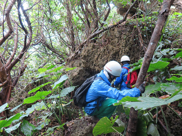 2016年1月30日/遺骨収集の様子 NO.28