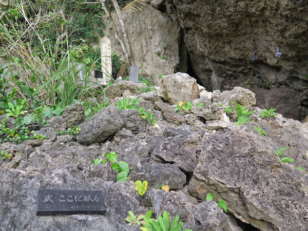 2016年2月14日/遺骨収集の様子 NO.25