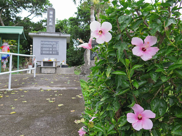 2016年2月15日/遺骨収集の様子 NO.17