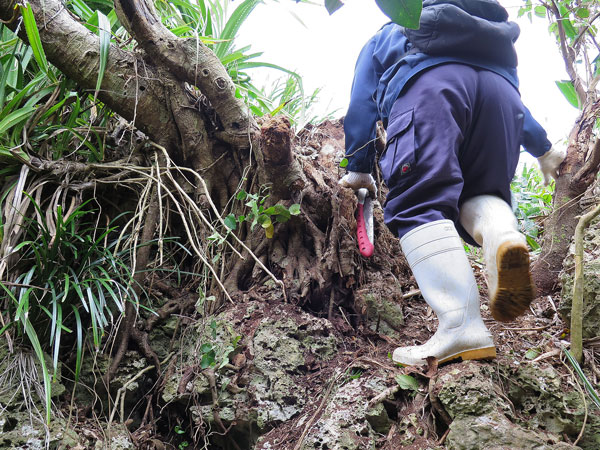 2016年2月15日/遺骨収集の様子 NO.