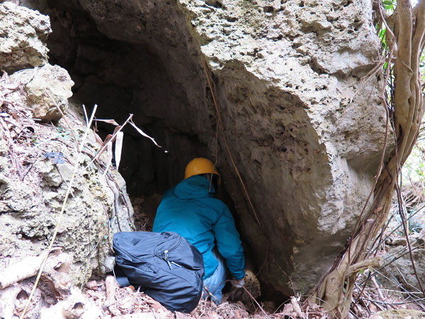 2016年2月19日/遺骨収集の様子 NO.63